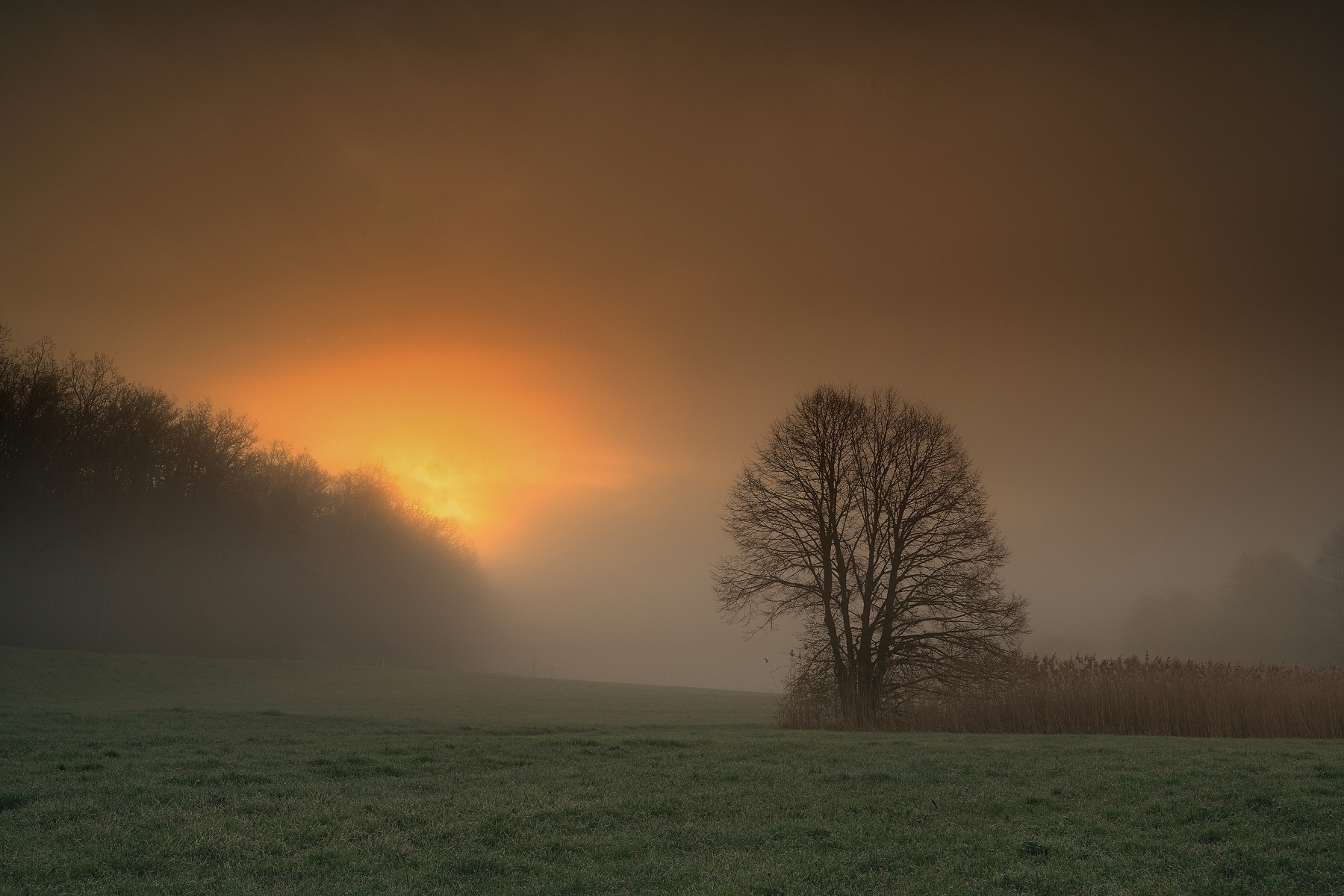 Herbstmorgen