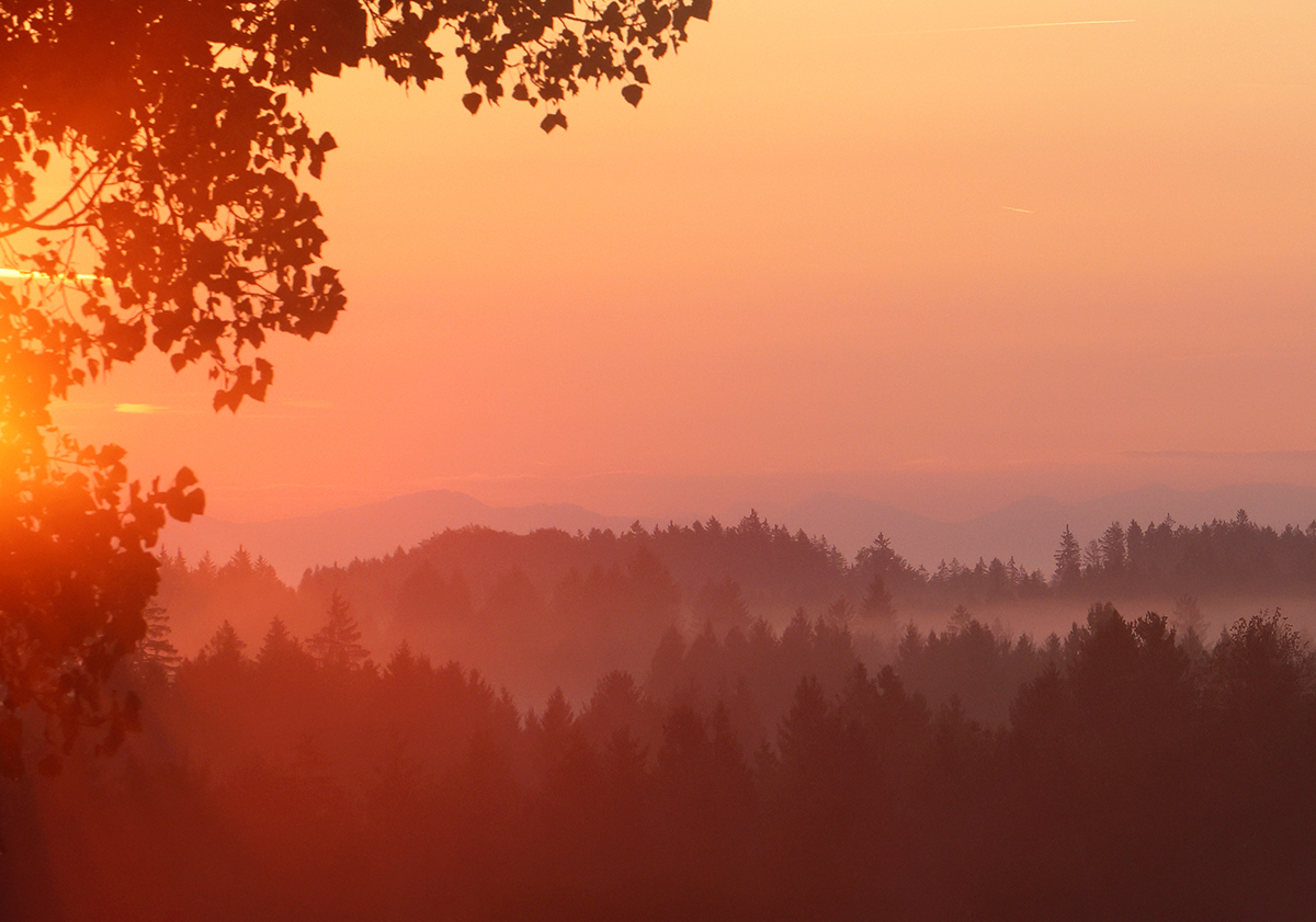 Morgenstimmung