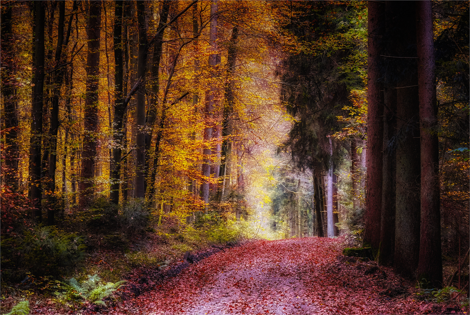 Lichtblick ...
