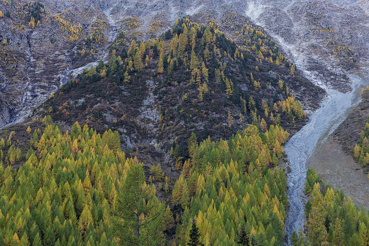 Herbstfarben am Flüelapass