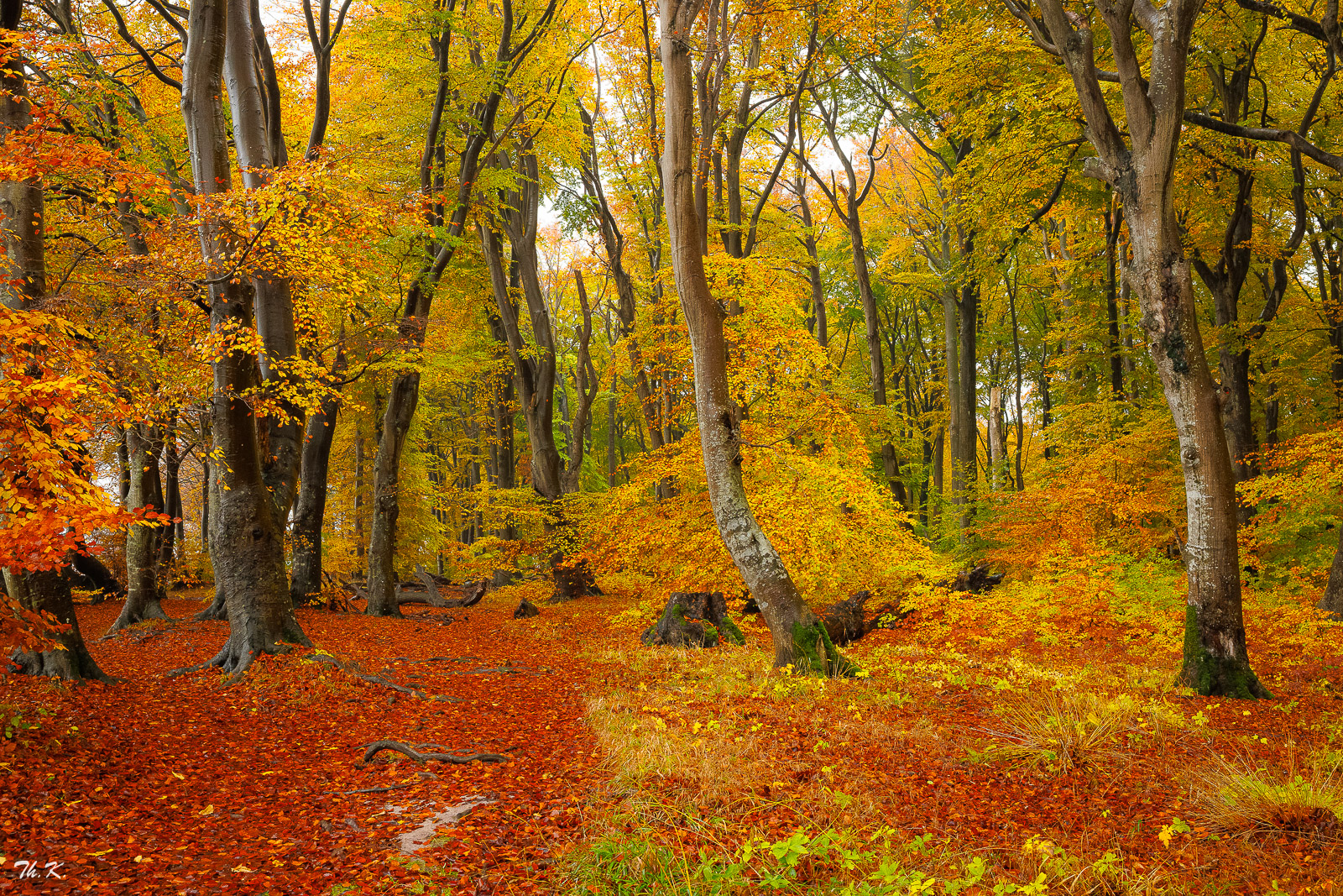 Herbst