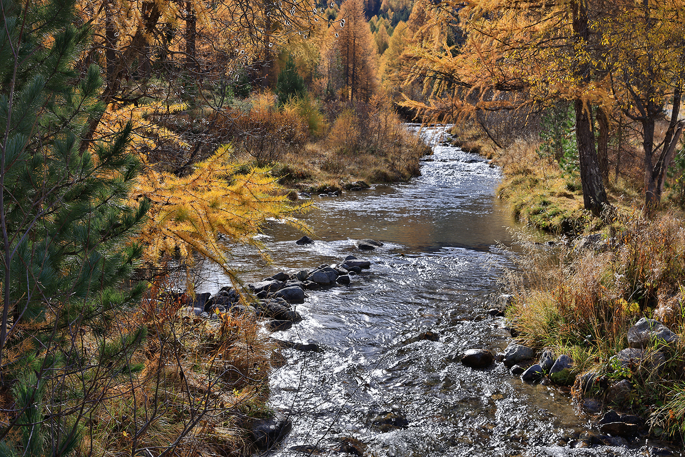 Herbststimmung im Engadin