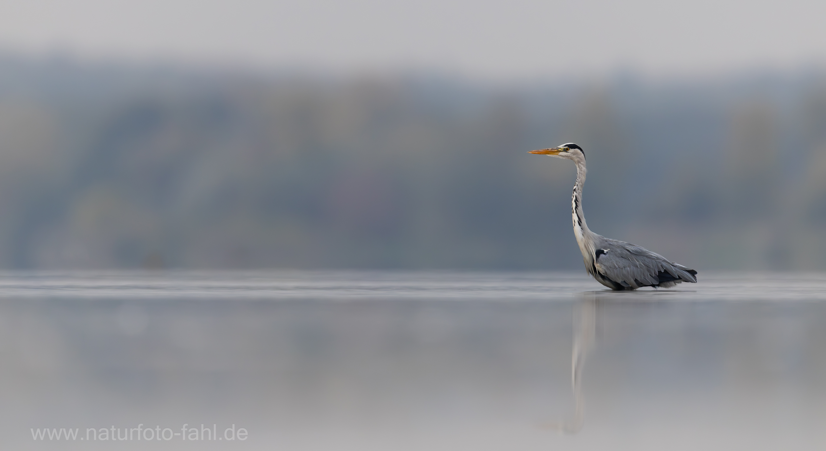 Welcher Tierfotograf kennt das nicht...