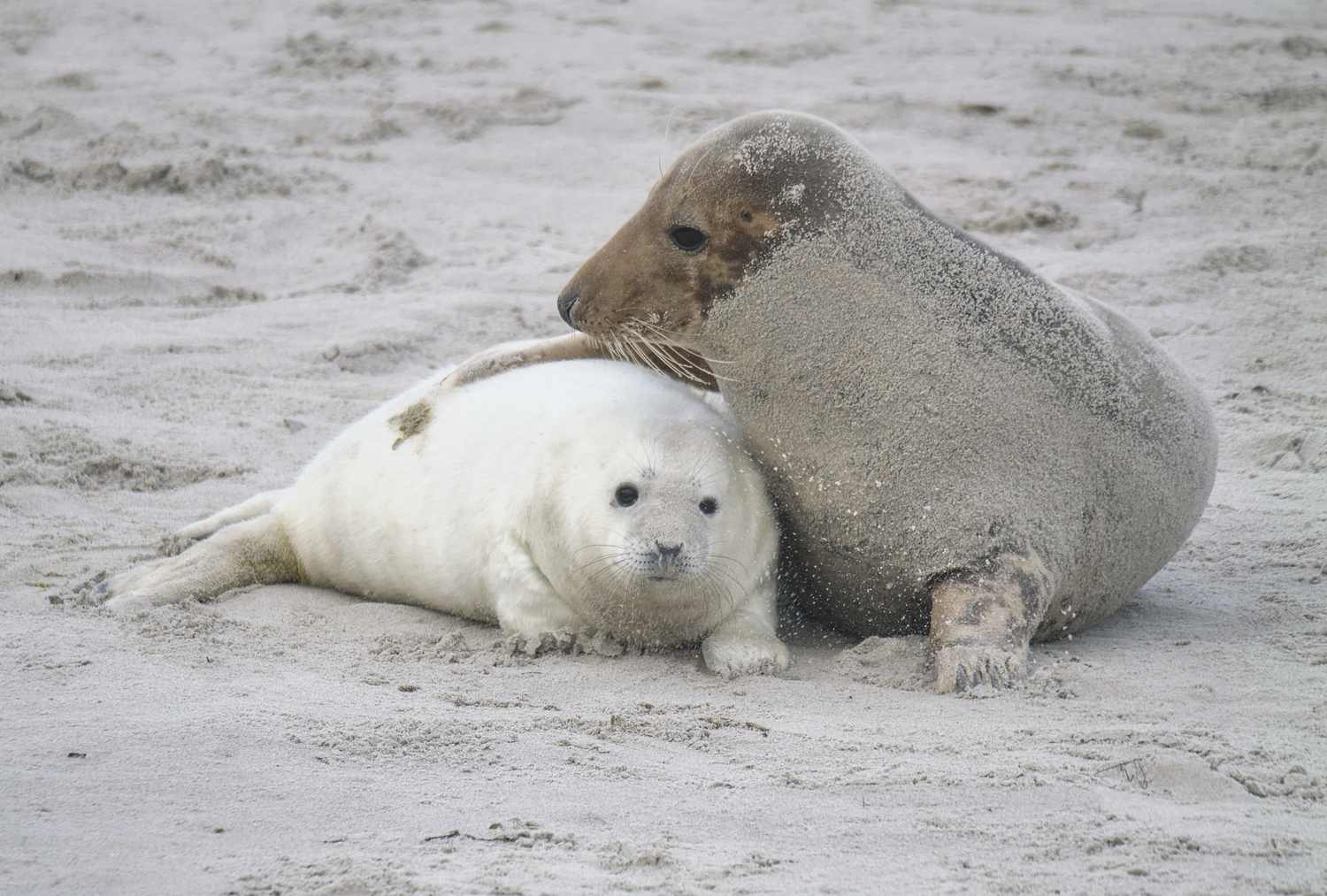 Leise rieselt der Sand