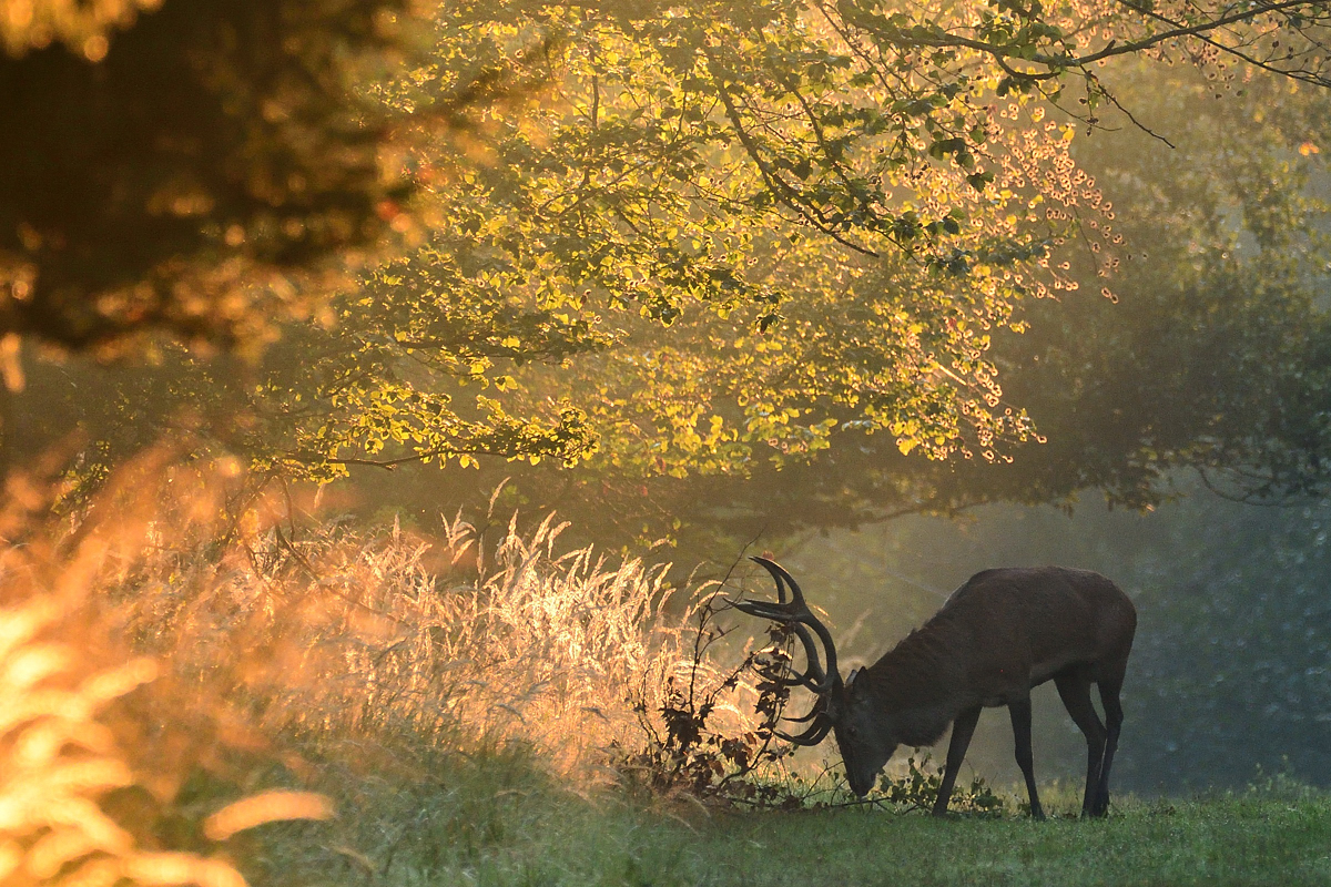 Herbstzeit....