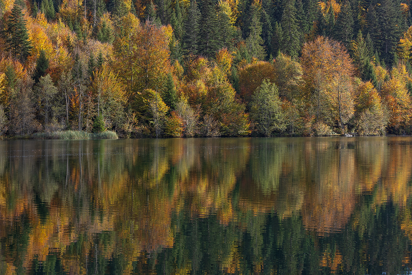 Herbststimmung am Bergsee