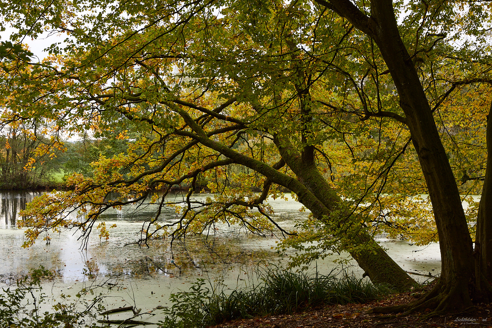 Herbstzeit
