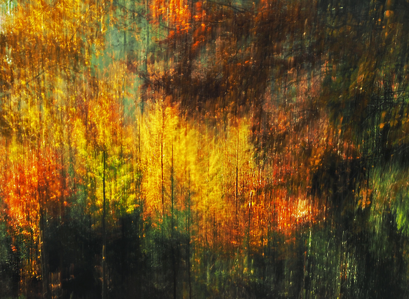 Herbstwaldleuchten