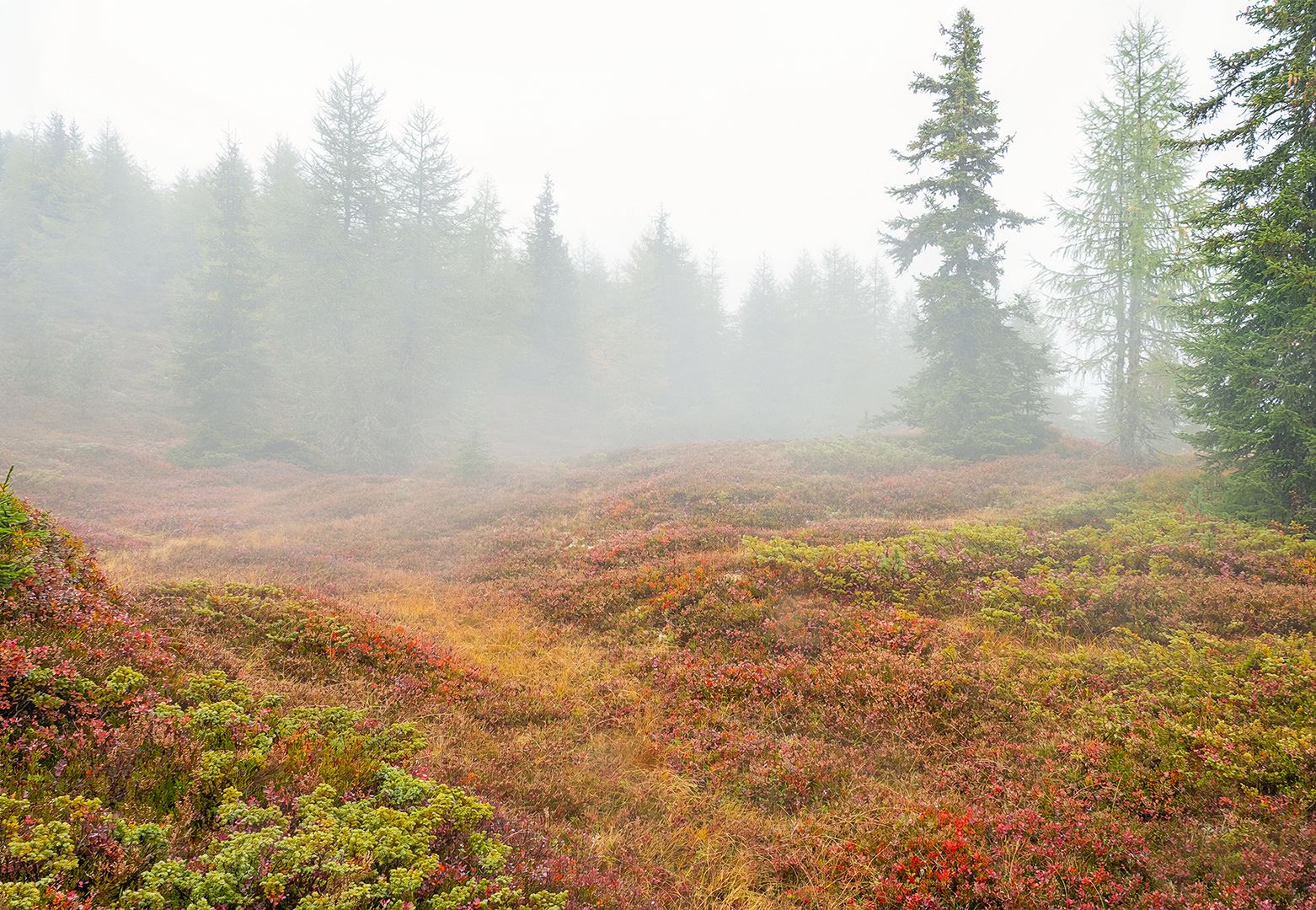Herbstzeit