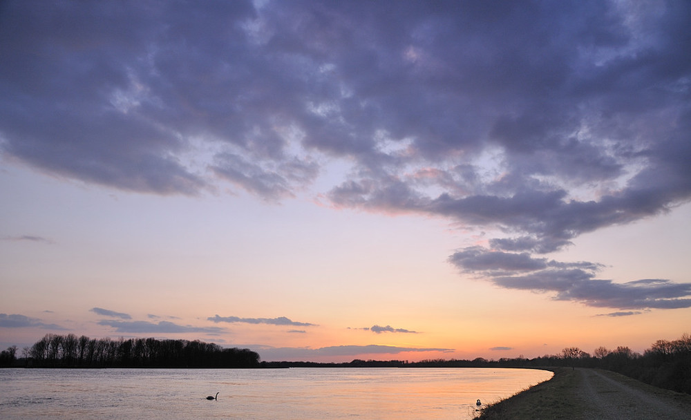 Gestern Abend am Rhein