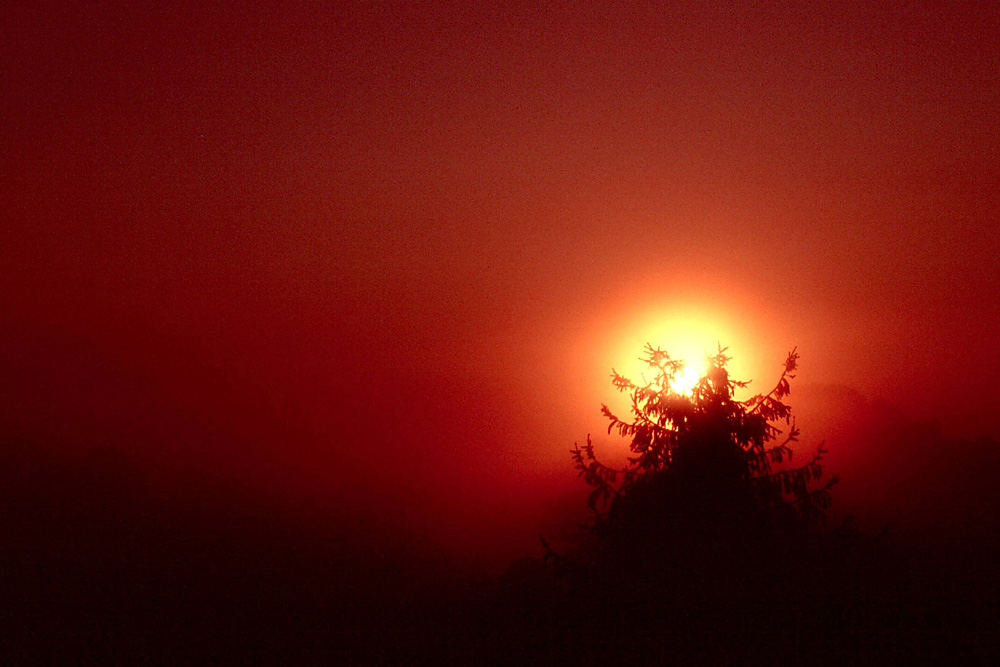 Die Sonne auf der Schulter