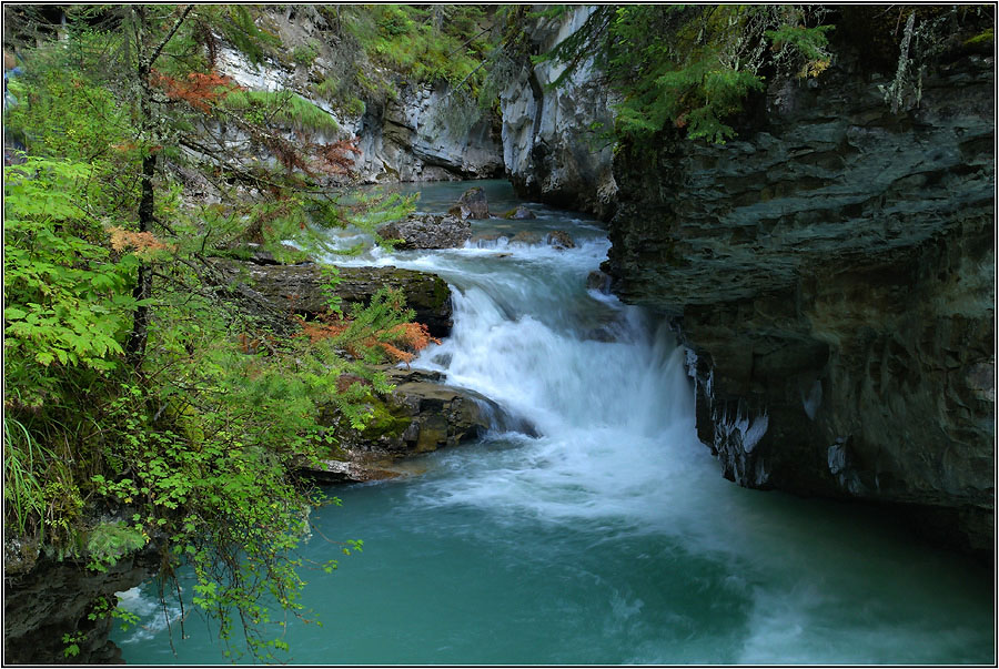 Wo der Wildbach rauscht