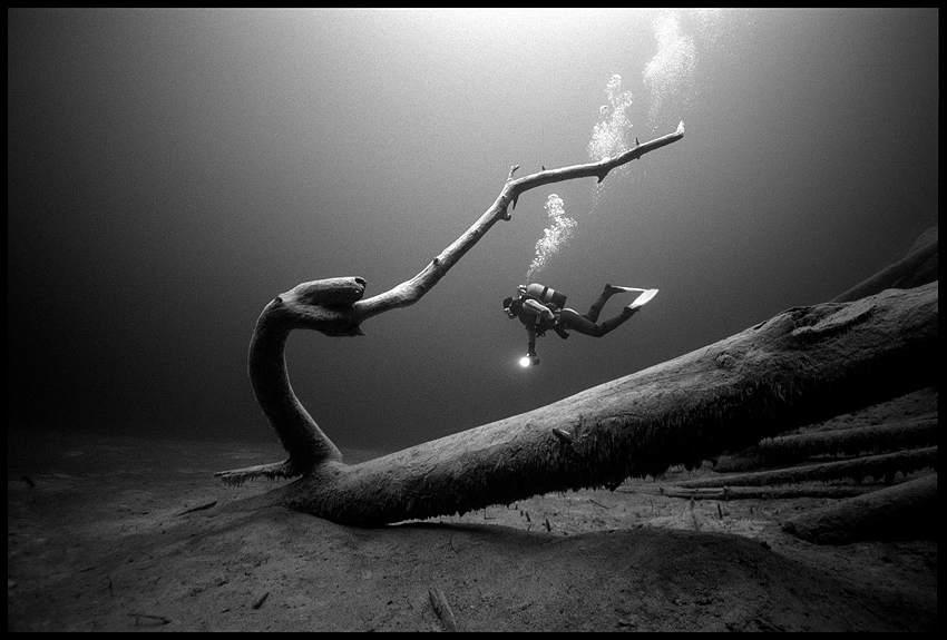 Bergseetauchen - monochrome-