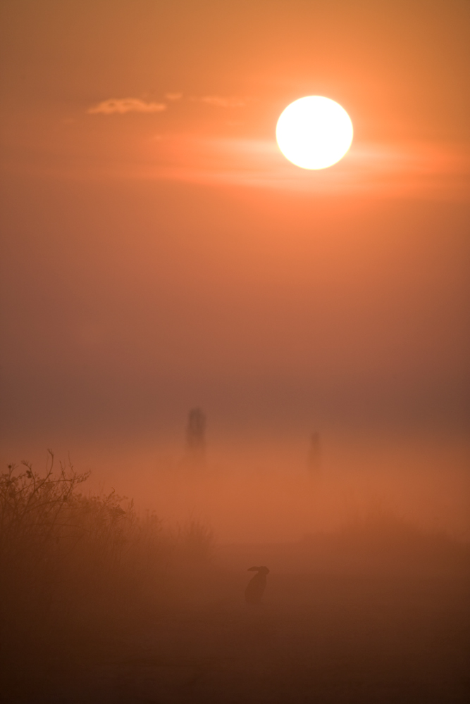 Sonnenaufgang