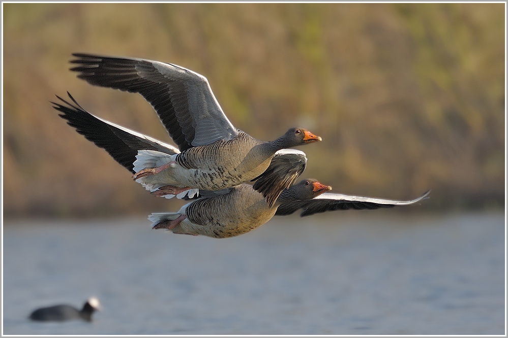 Der Landeanflug