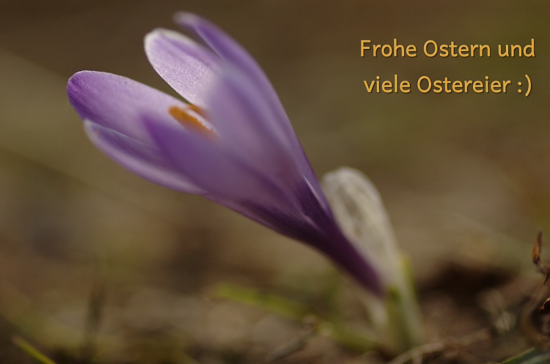 Frohe Ostern