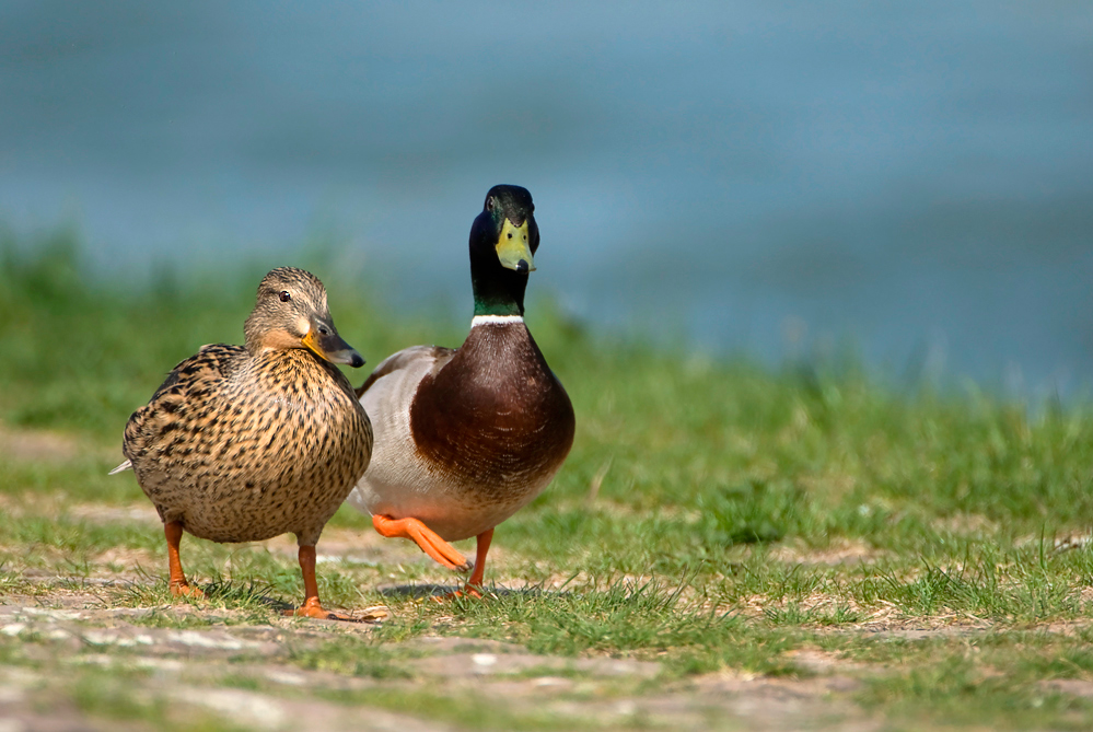 Osterspaziergang