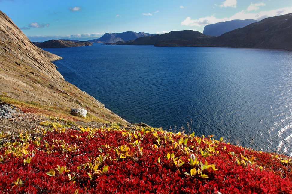 Herbst in Westgrönland