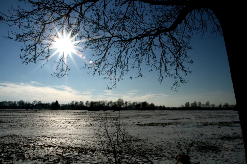 Winterlandschaft