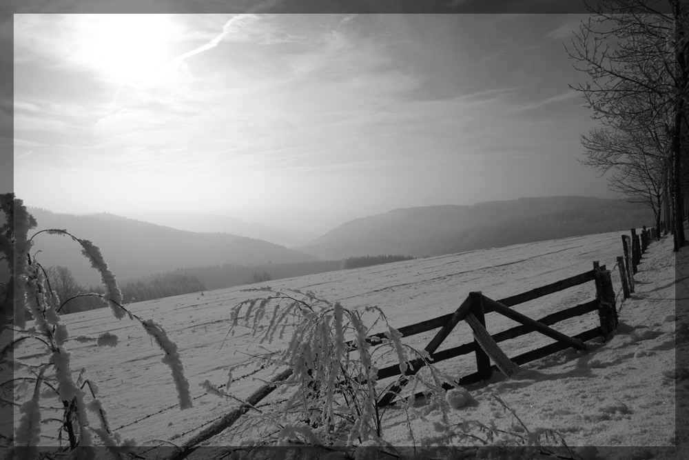 Winterlandschaft