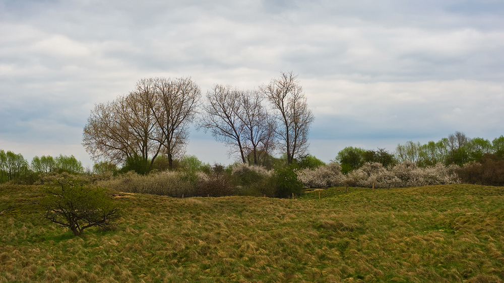 Was vom Niederrhein