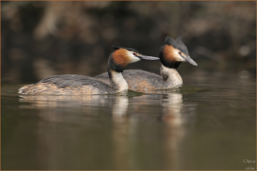 ~Two of Us~