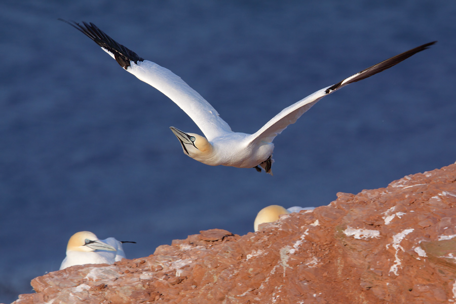 Der Abflug