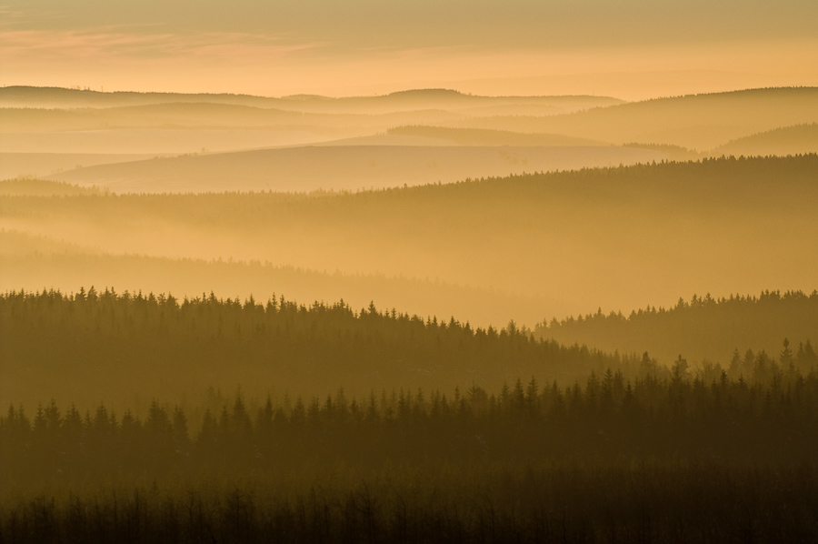 Abendlicht