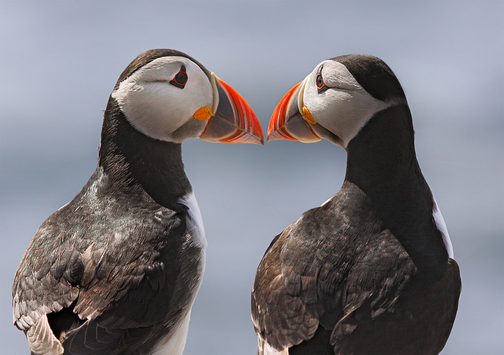 Love on the rocks