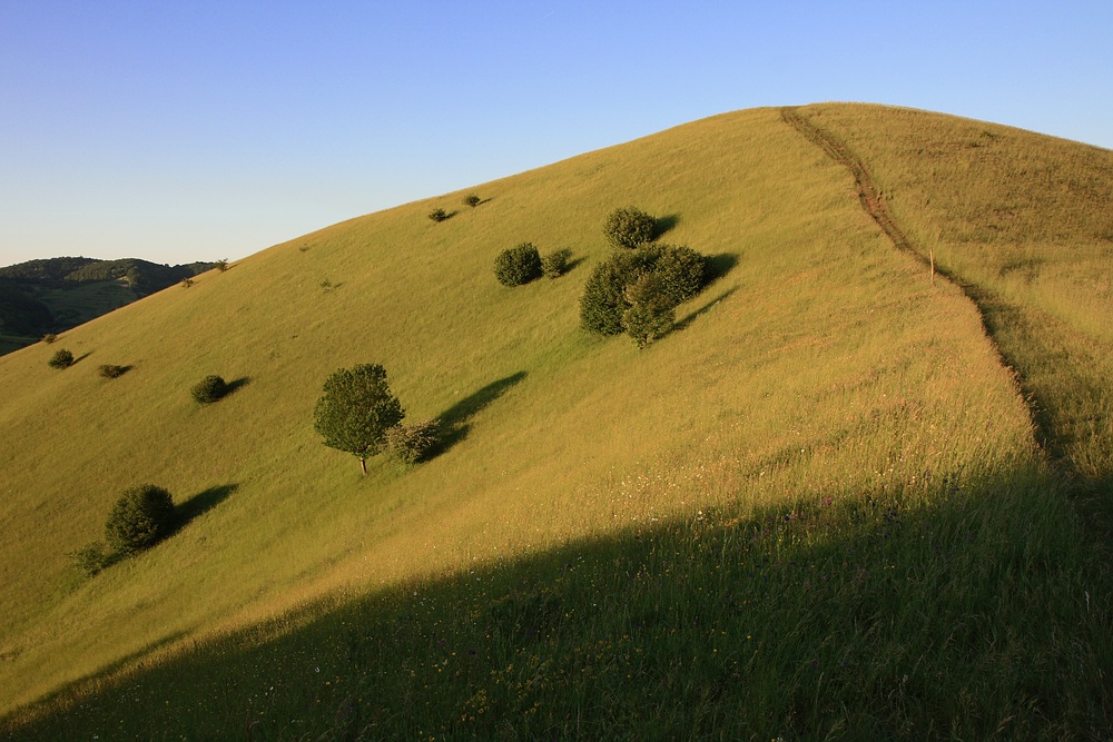 Badberg/Kaiserstuhl