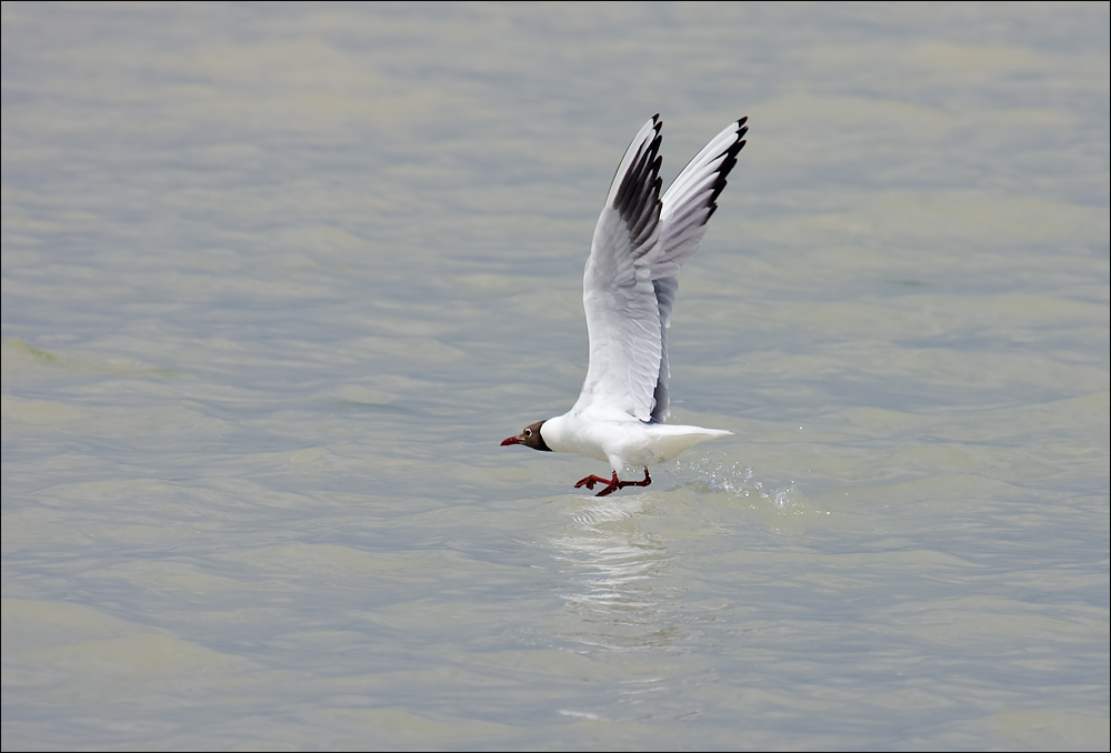 Beim Abflug