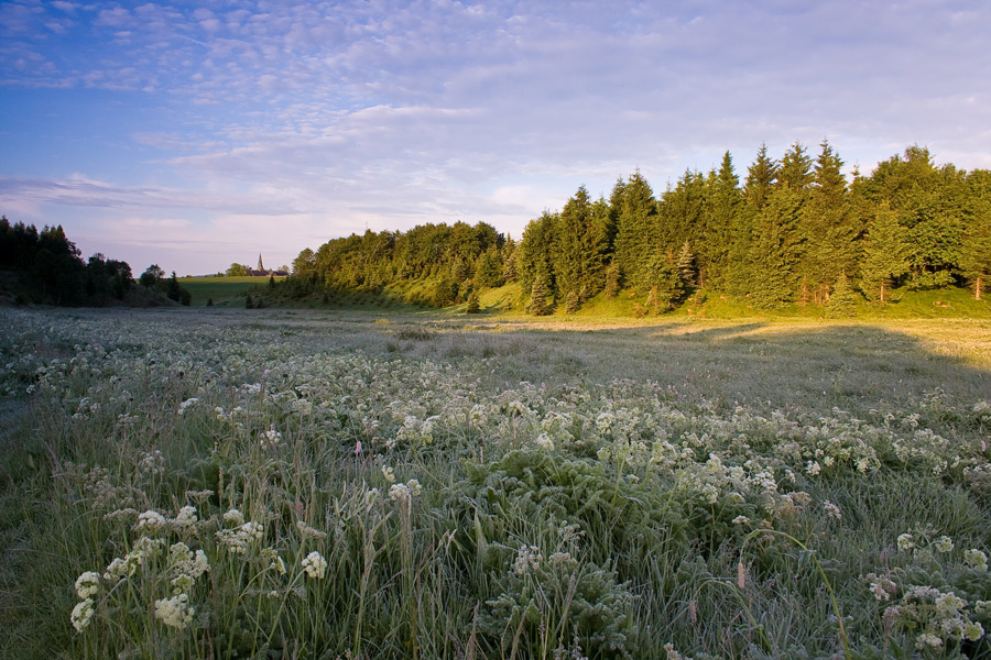 Schafskälte