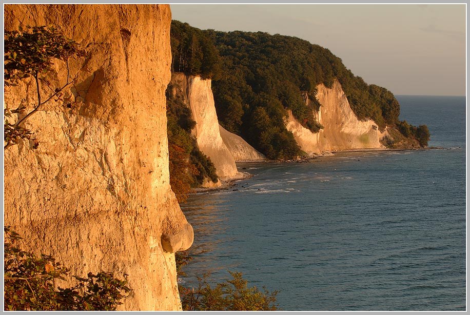 Kreidefelsen, Rügen, Nationalpark Jasmund