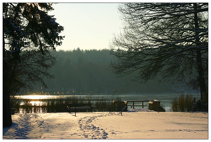 Winter am See