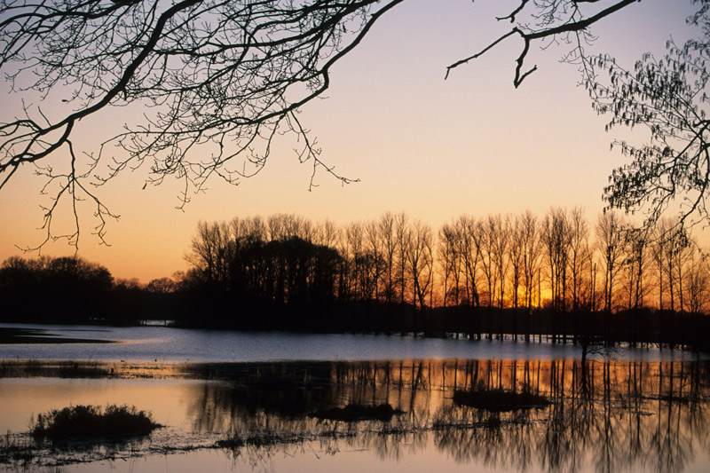 Winterabend in der überfluteten Emsaue ND