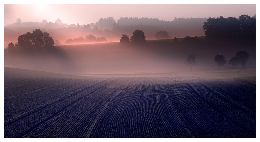 fields of light - ND