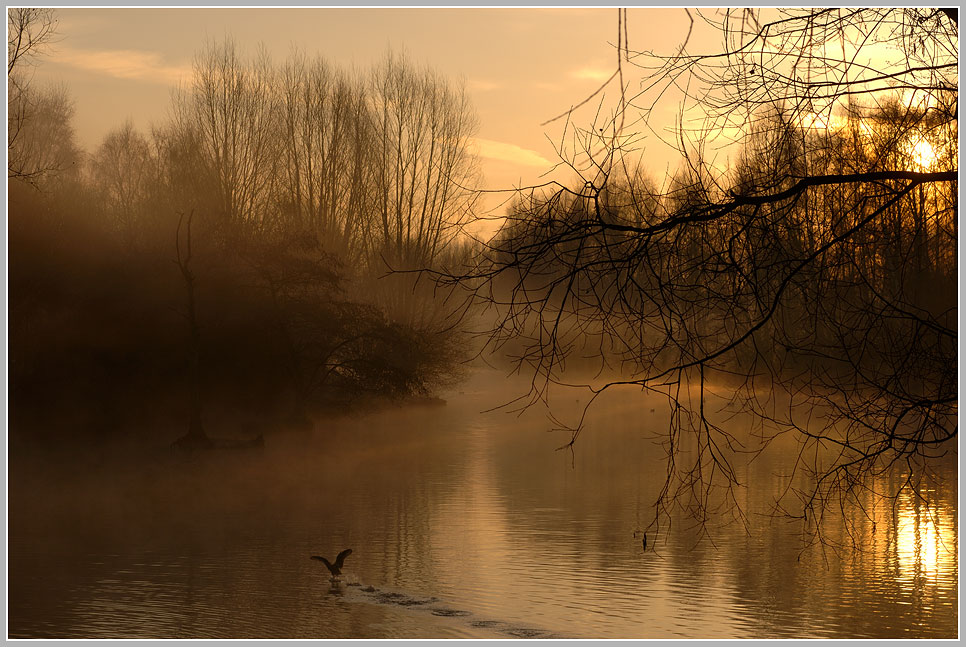 Sonnenaufgang am Mühlenbach