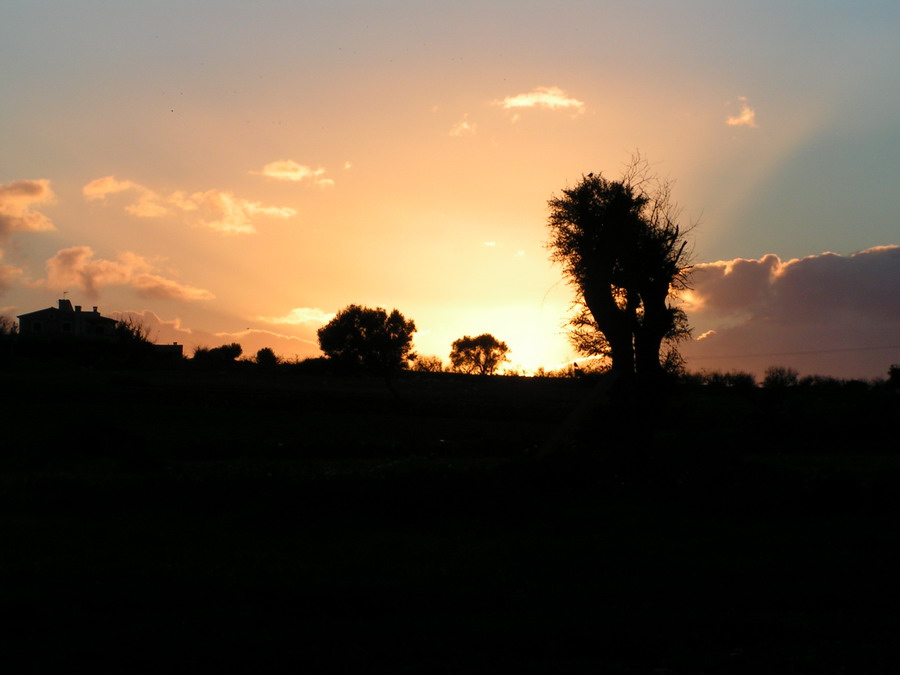 Sonnenuntergang auf Mallorca