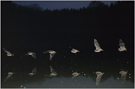 Flugphasen ND
