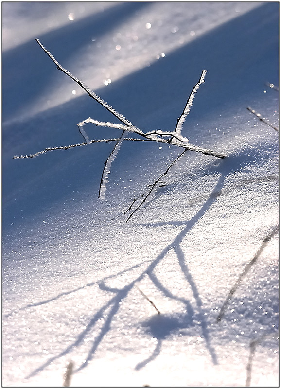 Schatten