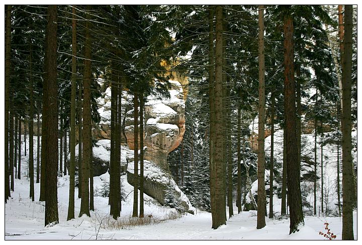 An den Rosensteinen