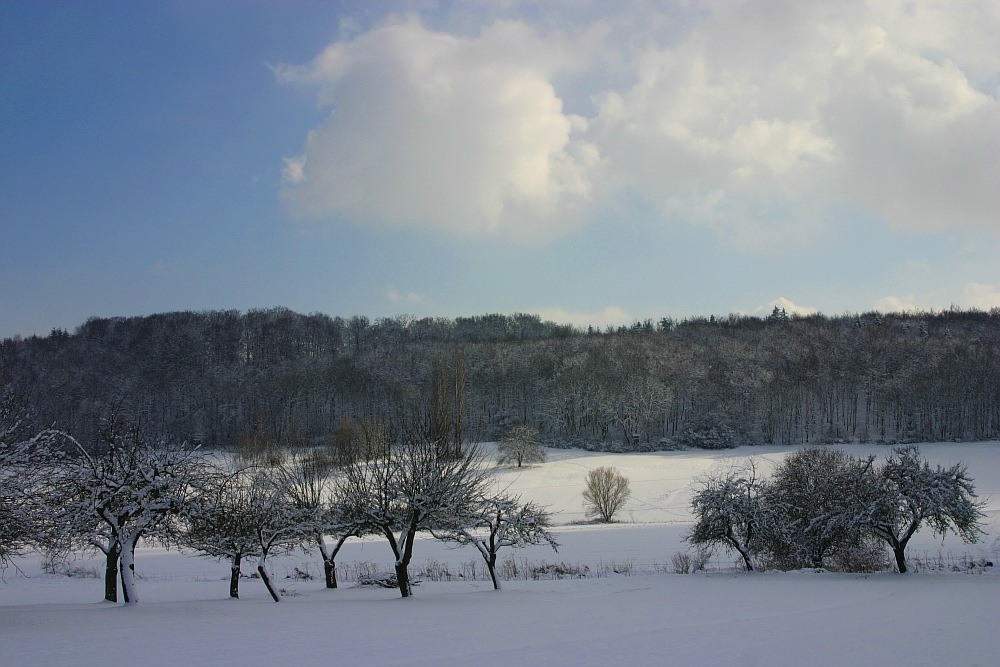 Schneelandschaft