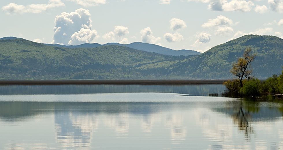 Cerknisko jezero