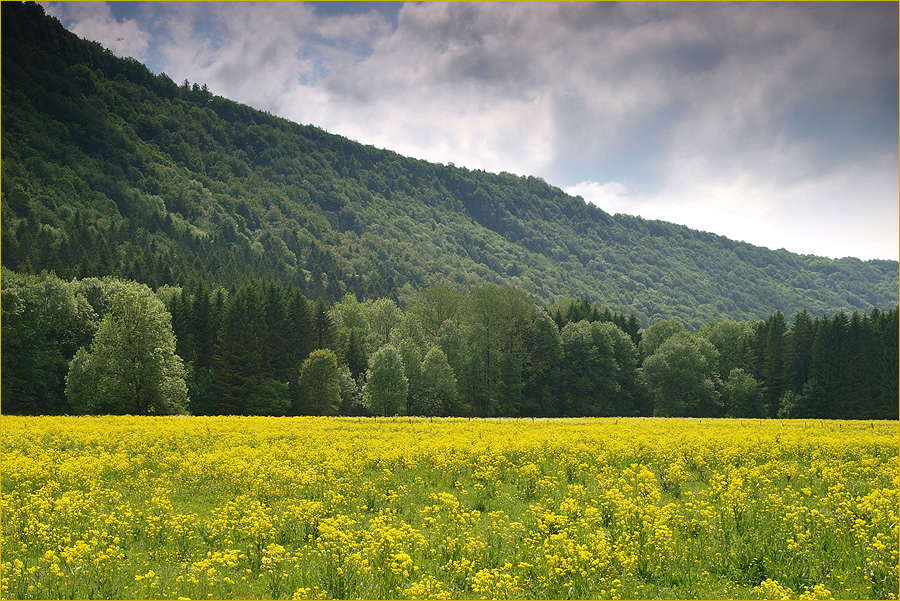 ~ Impressionen aus dem französischen Jura ~