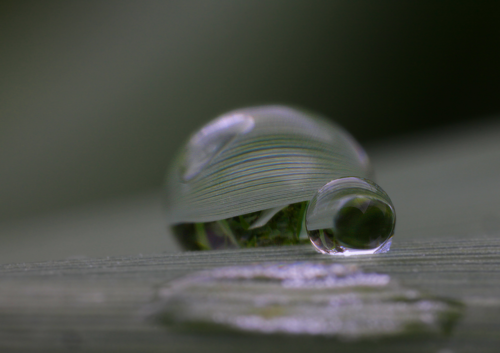 Wasserspiele