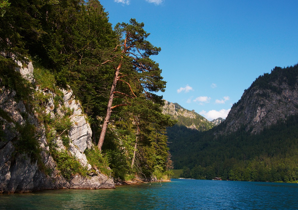 Alpsee