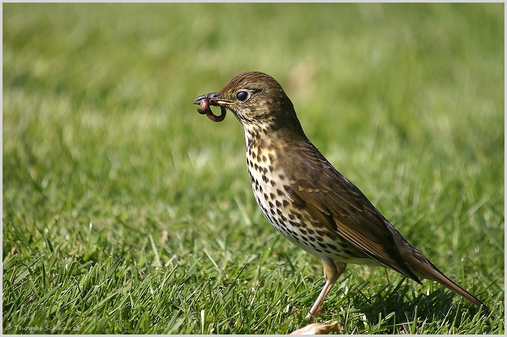 Ein kleiner Snack...