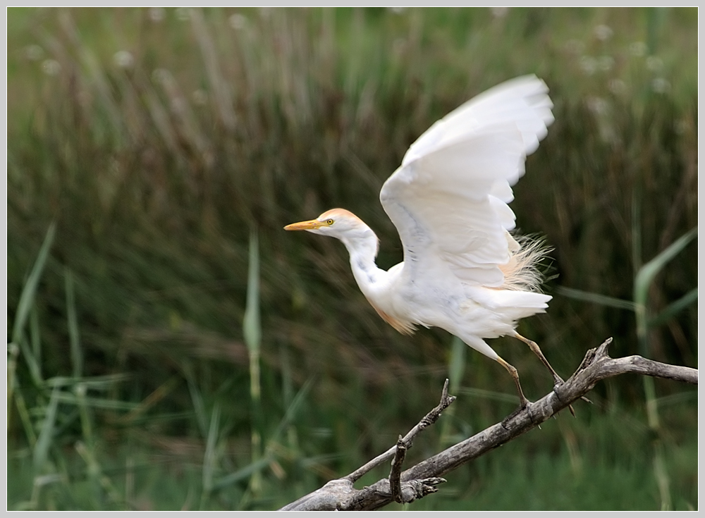 Abflug