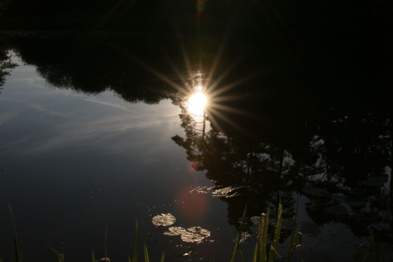 Sonnenuntergang im Wasser