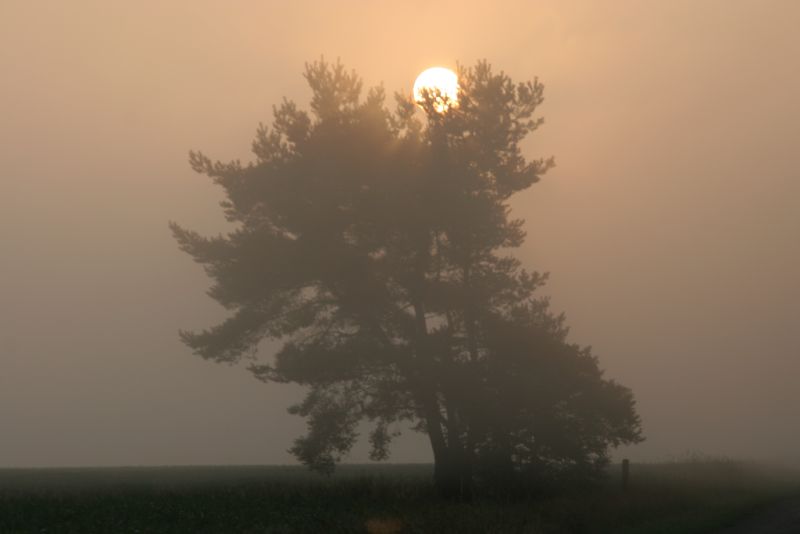 Sonnenaufgang im Nebel